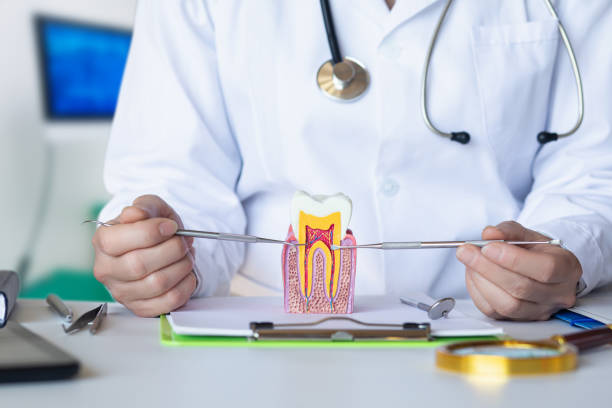 Best Knocked-Out Tooth Emergency  in Smithfield, NC